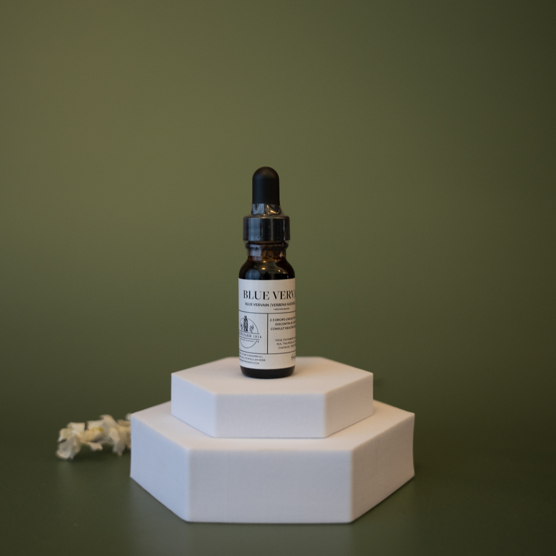 Blue Vervain