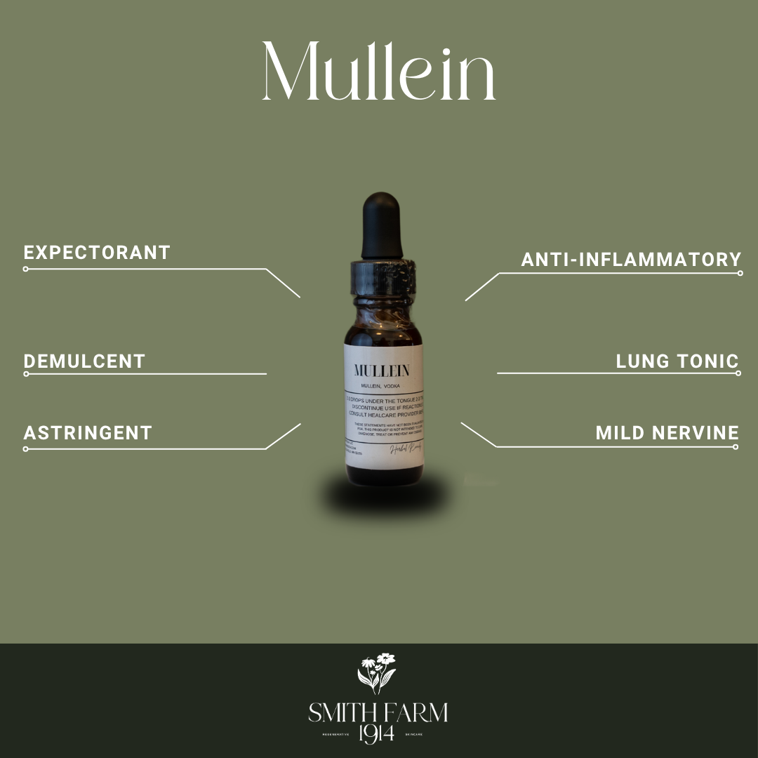 Bottle of Mullein tincture with therapeutic benefits listed on a green background, featuring the Smith Farm 1914 brand.