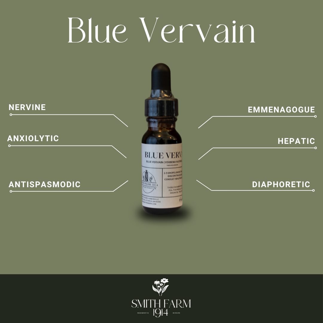 Bottle of Blue Vervain with therapeutic benefits listed on a green background