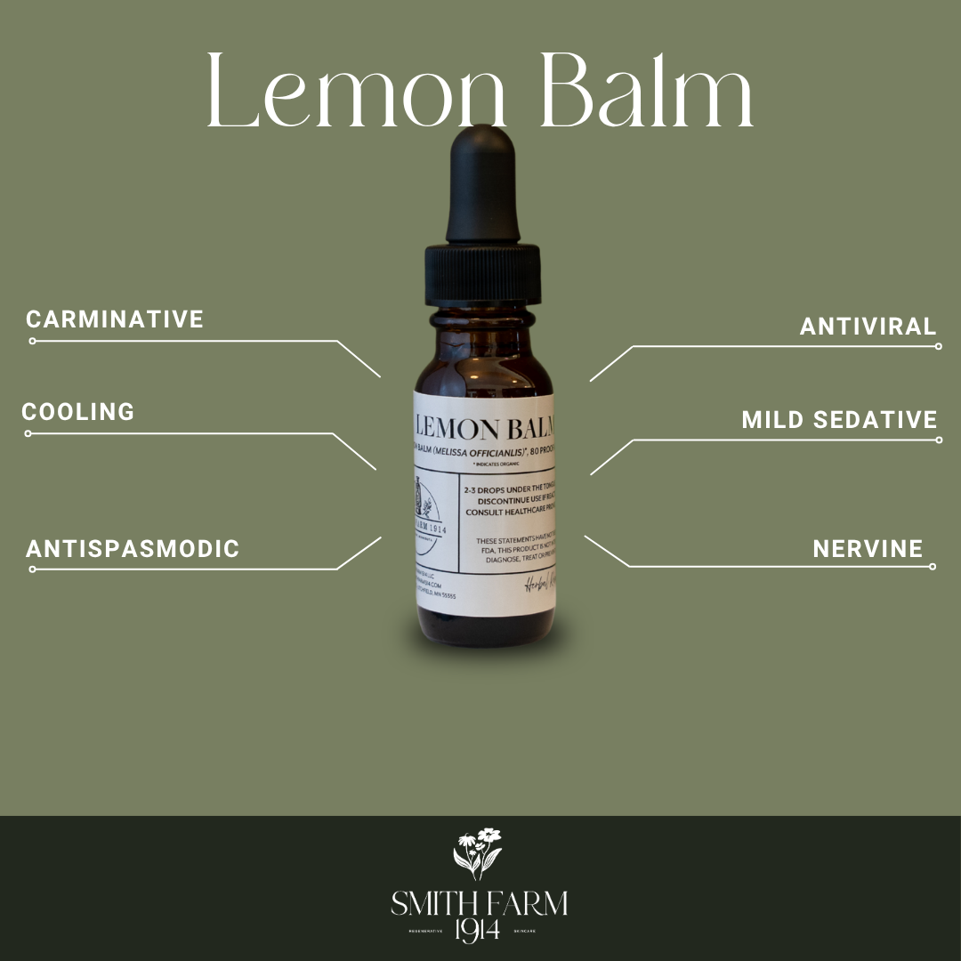 Lemon balm tincture bottle with therapeutic benefits on a green background