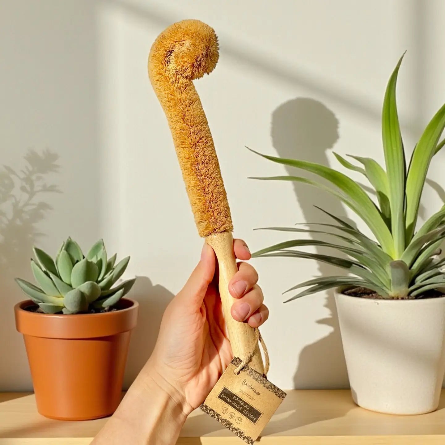 Hand holding a wooden scrub brush with bristles against a neutral background with plants.