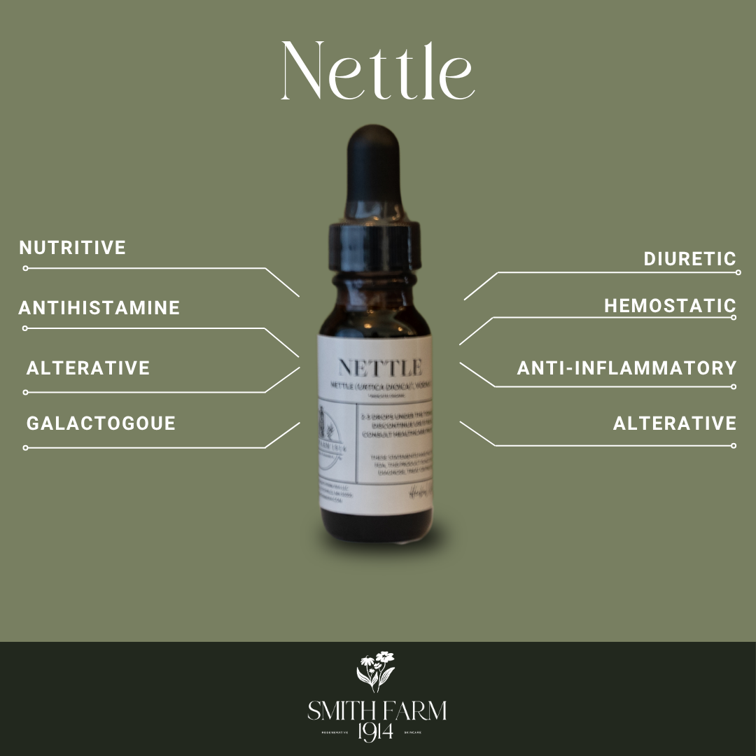 Nettle extract bottle with therapeutic benefits on a green background